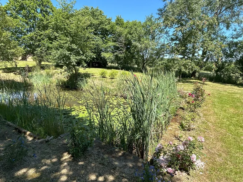 Lourties-Monbrun, Lourties-Monbrun, Lourties-Monbrun, Occitanie, France. - Photo 19