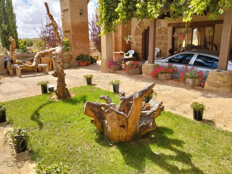 Tierra de campos, Castile and León, Valdunquillo, Castile and Leon, Spain. - Photo 9