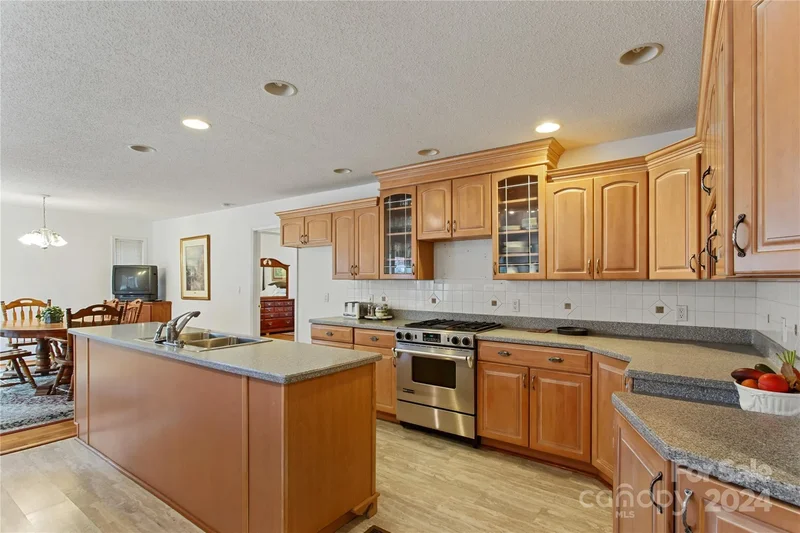 38 Southern Visions Drive, Hendersonville, NC 28792, Hendersonville, North Carolina, United States. - Photo 9