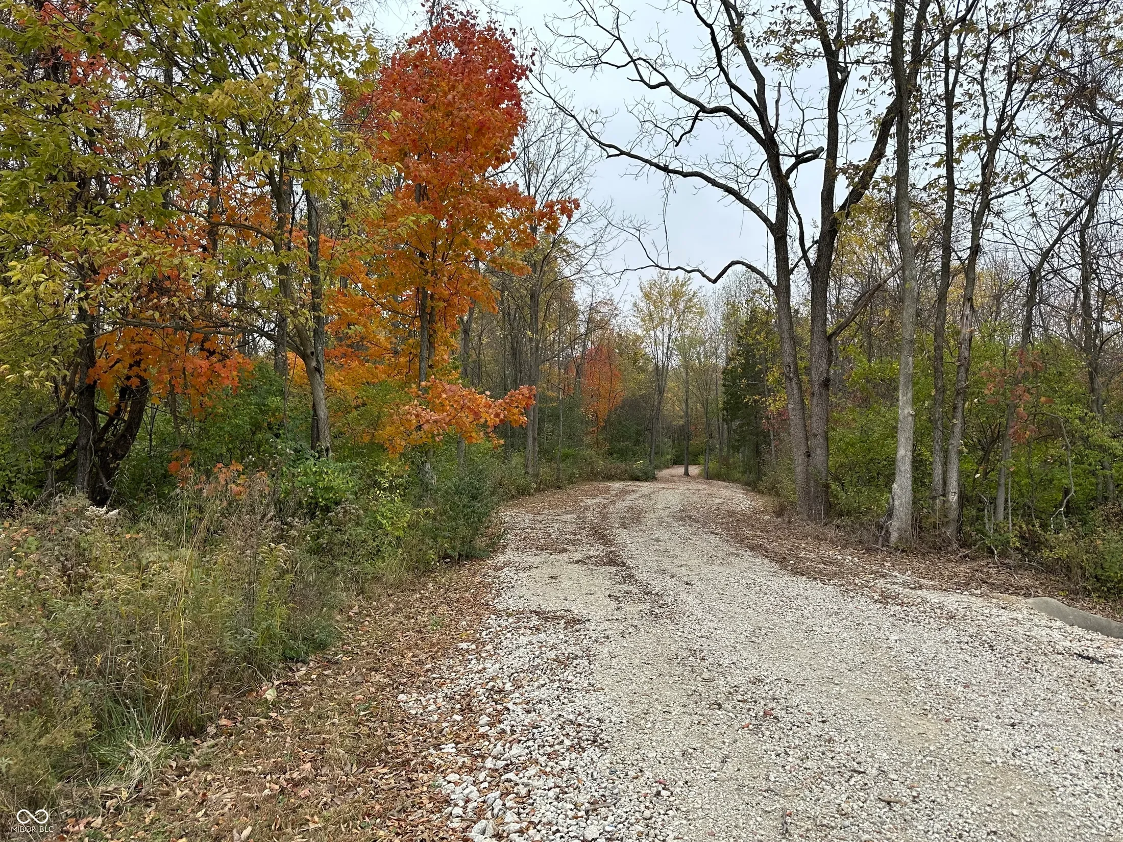 8351 S State Road 39, Clayton, IN 46118, Monrovia, Indiana, United States. - Photo 28