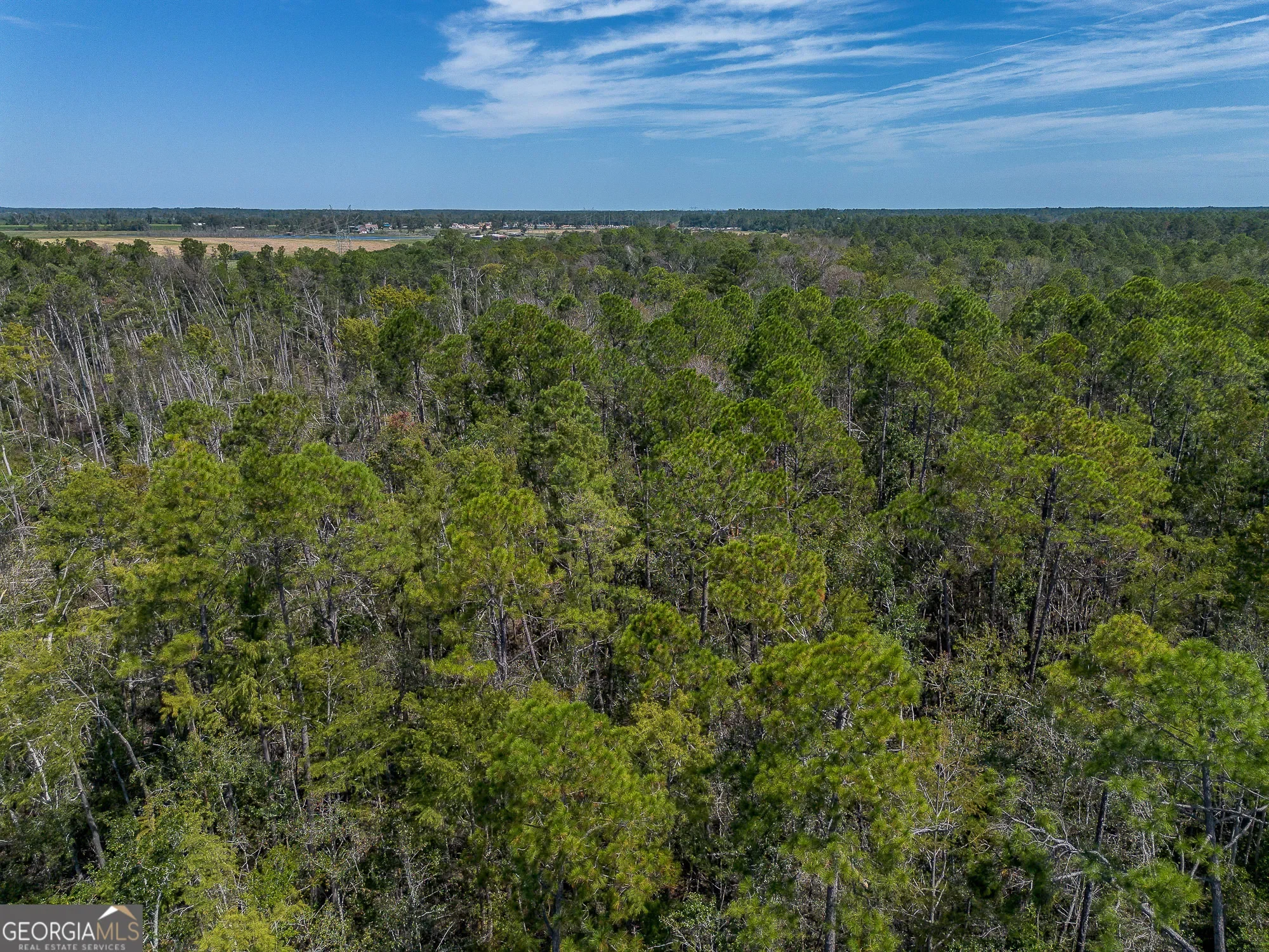 0 Rhonda Coleman, Hazlehurst, GA 31539, Hazlehurst, Georgia, United States. - Photo 36