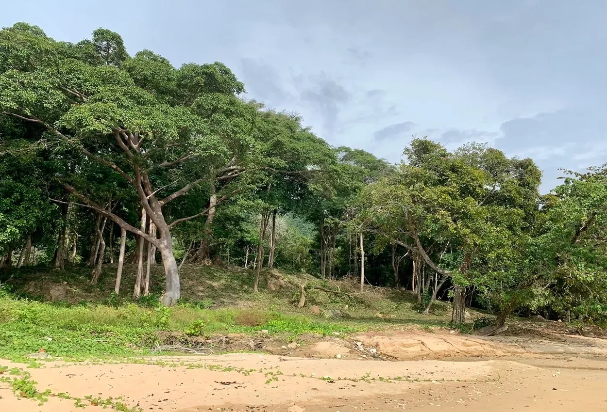 Krabi,, Ko Siboya, Krabi, Thailand. - Photo 3