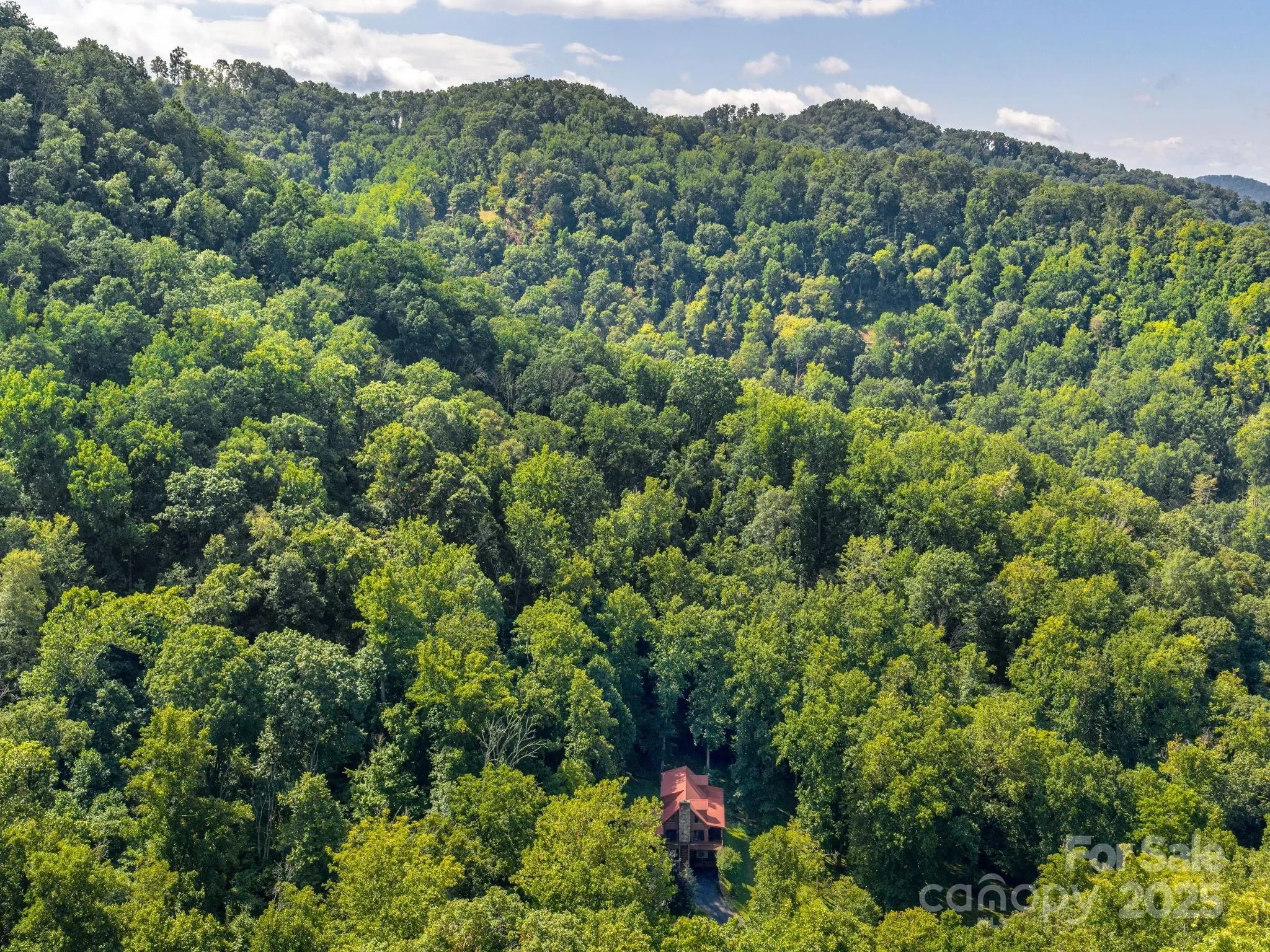 420 Chimney Rock Drive, Weaverville, NC 28787, Weaverville, North Carolina, United States. - Photo 38