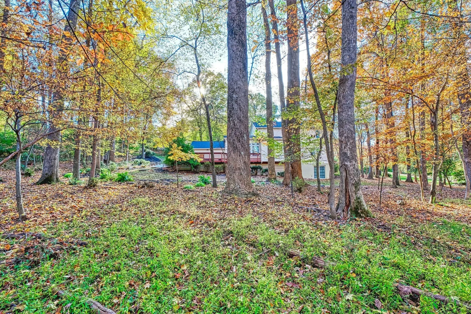 11008 Devenish Drive , Oakton, VA 22124, Oakton, Virginia, United States. - Photo 49