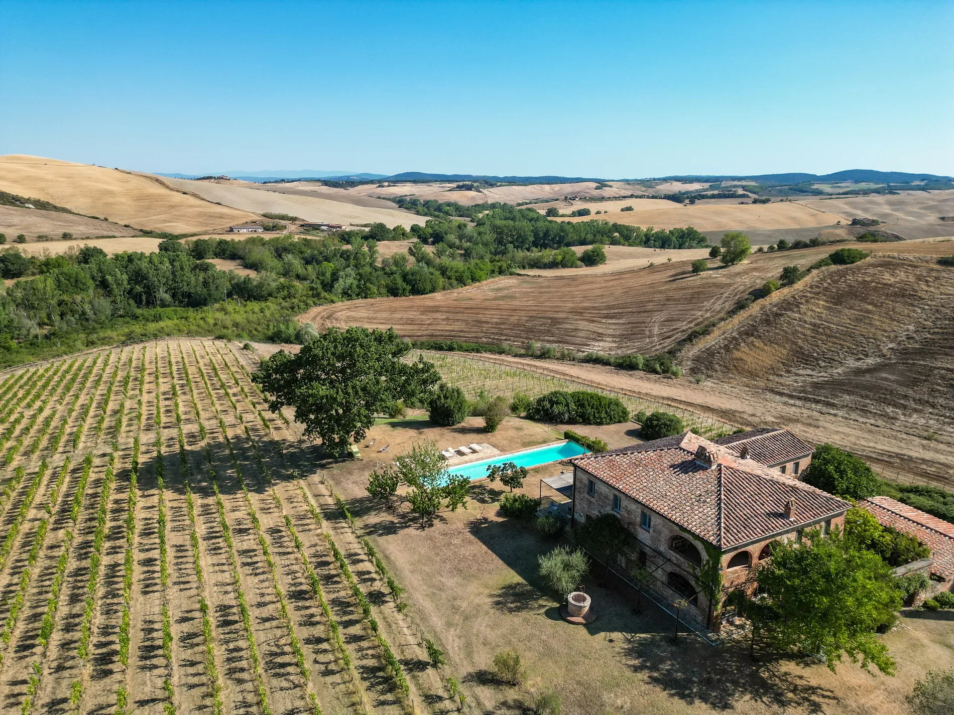 53024 Montalcino, Province of Siena, Italy, Castelnuovo dell’Abate, Tuscany, Italy. - Photo 73
