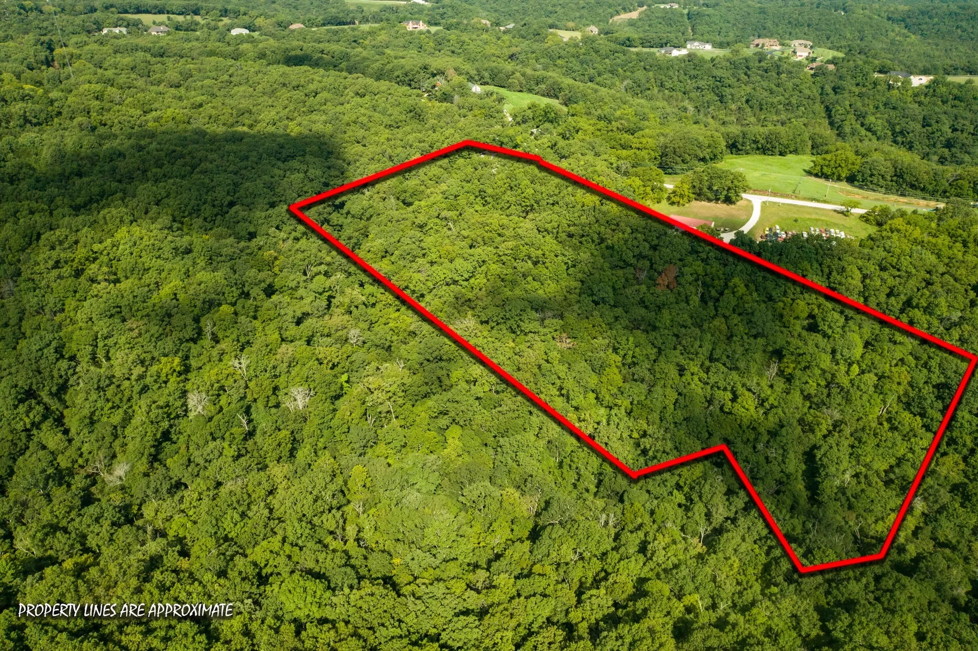 2488 Us Highway 160, Walnut Shade, MO 65771, Walnut Shade, Missouri, United States. - Photo 86