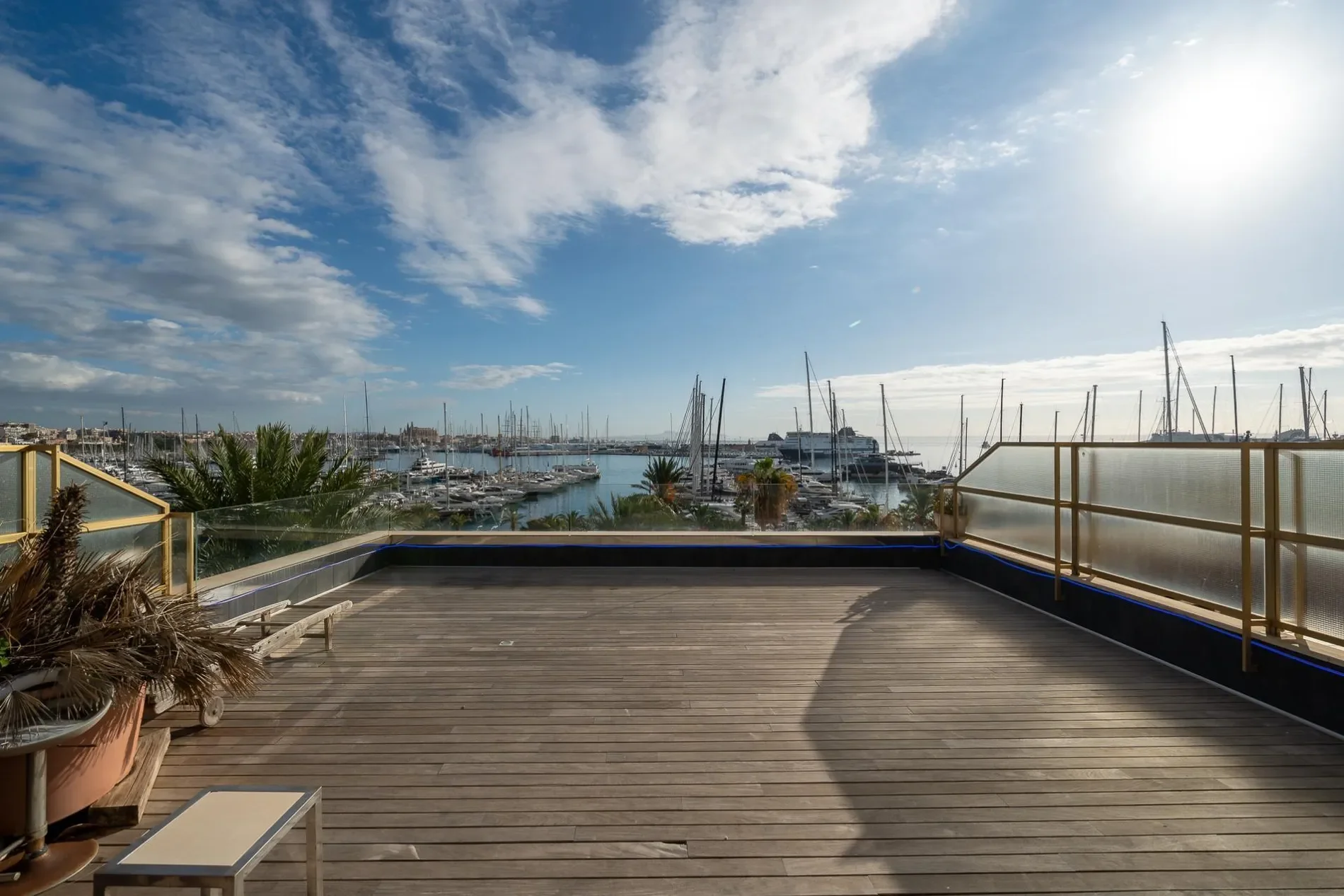 El Terreno, Palma de Mallorca, BALEARES, Palma de Mallorca, Palma, Balearic Islands, Spain. - Photo 2