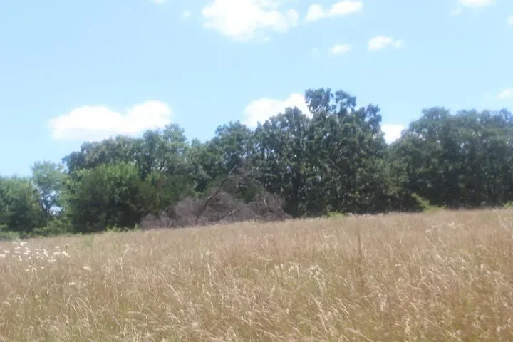 3176 S 170th Road, Polk, MO 65727, Bolivar, Missouri, United States. - Photo 23