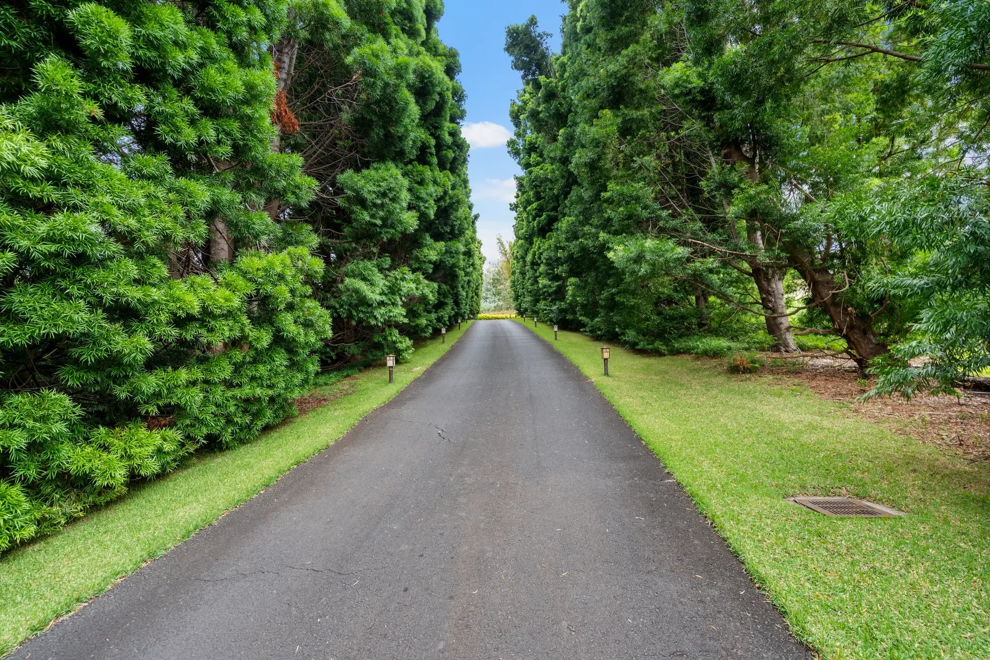 730 Lower Kimo Drive, Kula, HI 96790, Kula, Hawaii, United States. - Photo 10