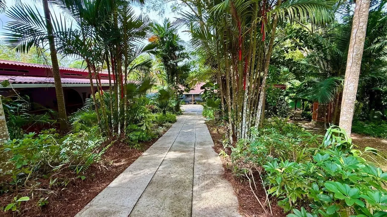 Cermeno, Provincia de Panamá Oeste, Panama. - Photo 13