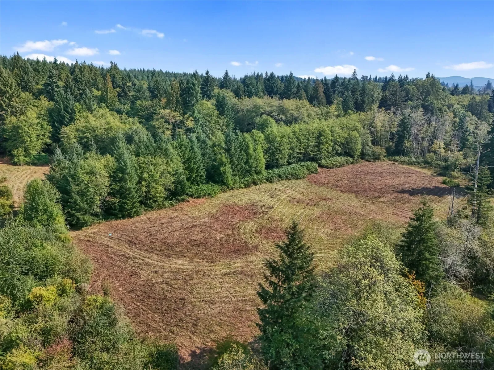 104 Bills Lane, Onalaska, WA 98570, Onalaska, Washington, United States. - Photo 25