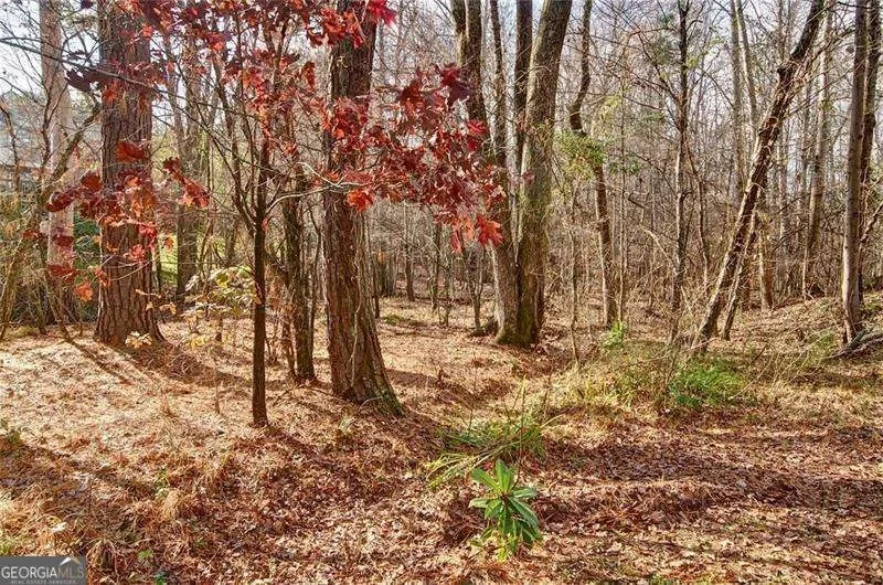 Kennesaw, Georgia, United States. - Photo 79