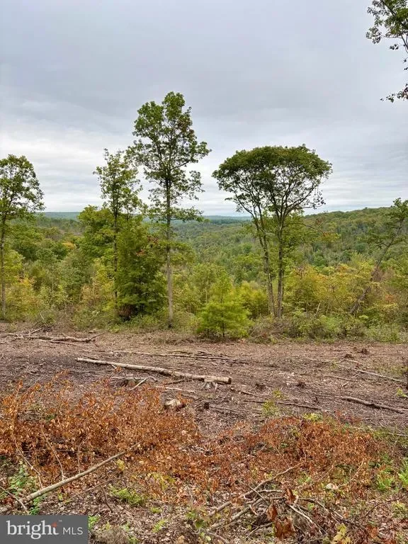2500 BEECH CREEK MOUNTAIN RD ROAD, BEECH CREEK, PA 16822, Beech Creek, Pennsylvania, United States. - Photo 1