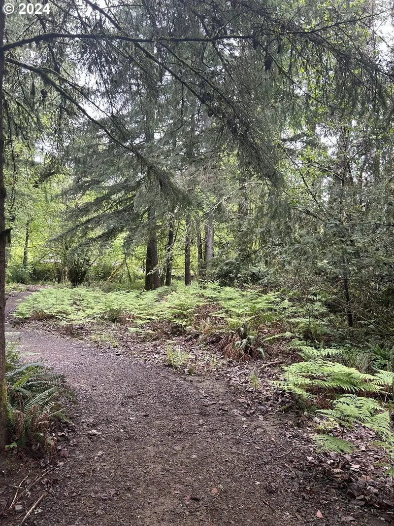 15959 S HOLMES RD, Molalla, OR 97038, Molalla, Oregon, United States. - Photo 39