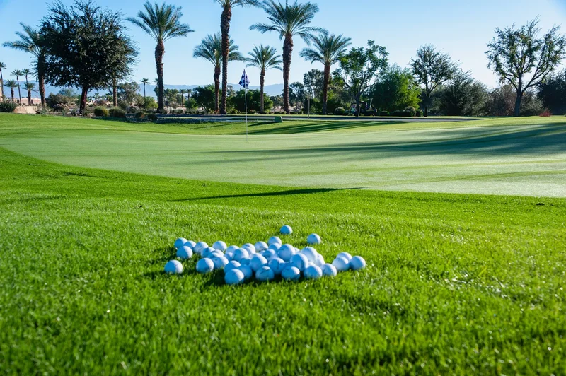 81463 Joshua Tree Court , La Quinta, CA 92253, La Quinta, California, United States. - Photo 64