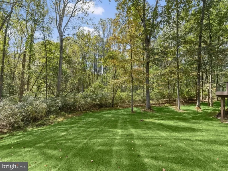 12667 GOLDEN OAK DR, ELLICOTT CITY, MD, 21042, USA, West Friendship, Maryland, United States. - Photo 69