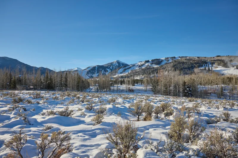 6 Stage Rd, Aspen, CO 81611, Aspen, Colorado, United States. - Photo 9