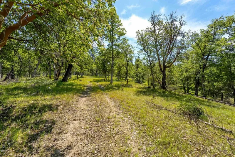 20541 Williams Highway , Williams, OR 97544, Williams, Oregon, United States. - Photo 41