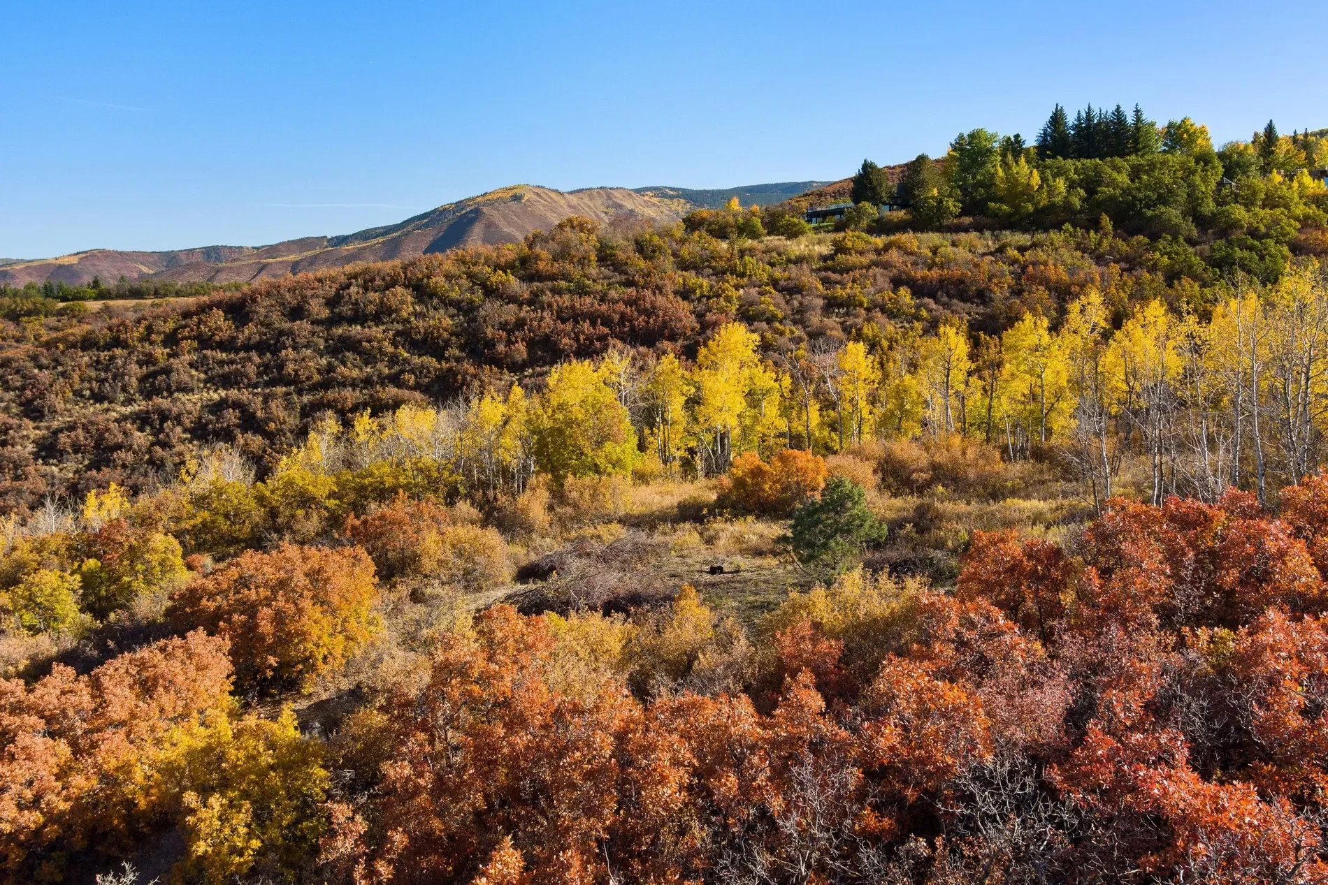 TBD Trentaz Drive , Aspen, CO 81611, Aspen, Colorado, United States. - Photo 39