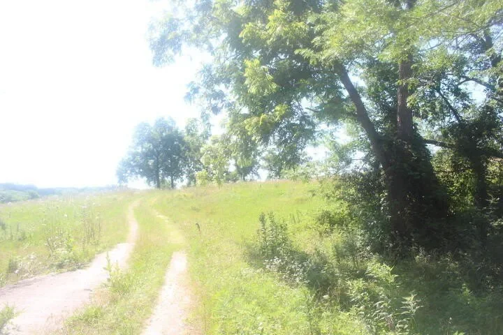 3176 S 170th Road, Polk, MO 65727, Bolivar, Missouri, United States. - Photo 11