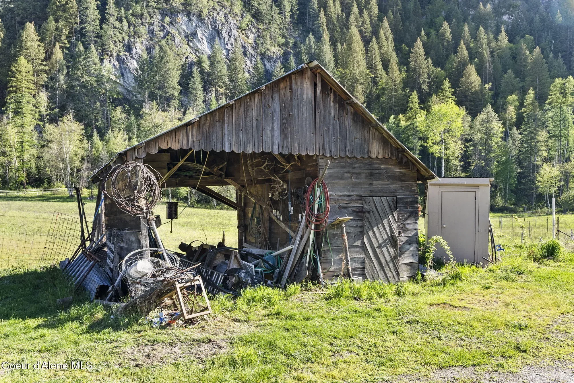 Gallery photo 11