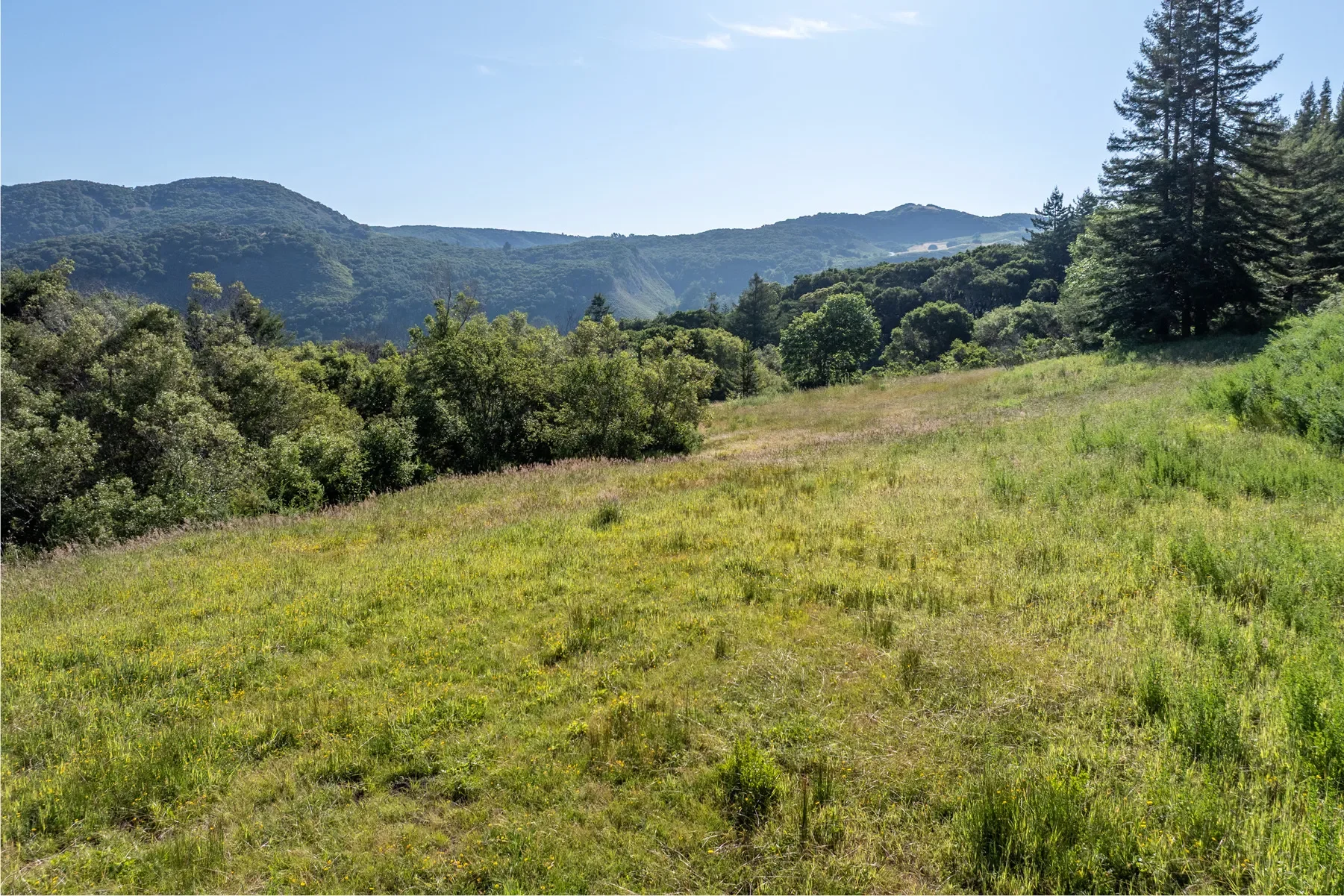 15 Potrero Trail (Lot 188), Carmel, CA 93923, Carmel-by-the-Sea, California, United States. - Photo 3