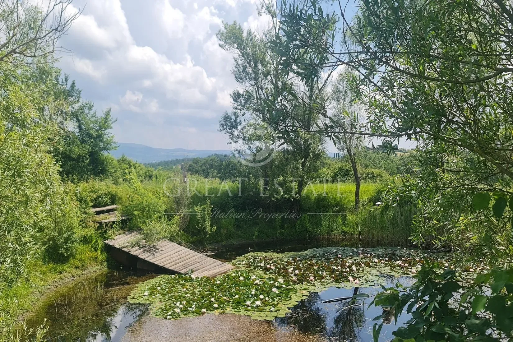 Umbria, Umbria, Italy. - Photo 17