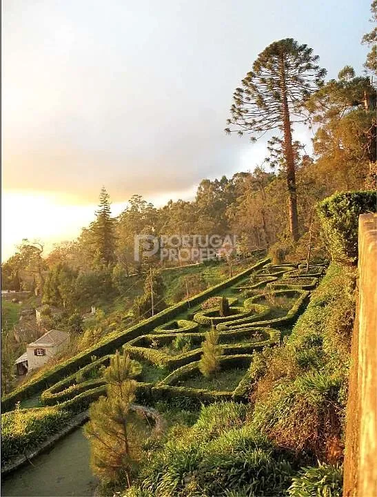 Funchal, Madeira, Funchal, Se, Madeira, Portugal. - Photo 9