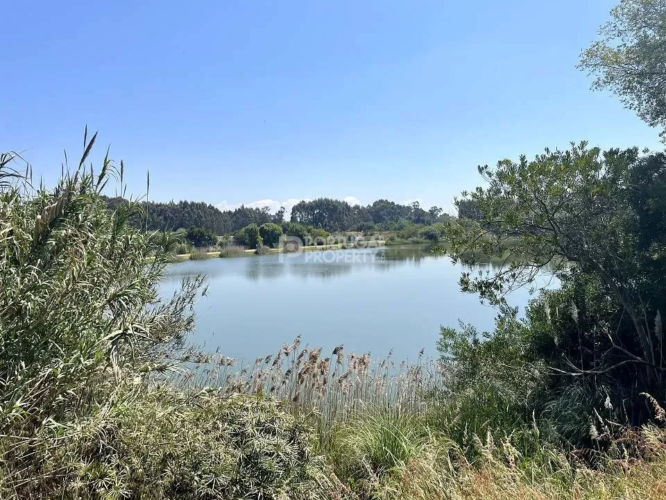 Porto, Porto, Porto, Cedofeita, Santo Ildefonso, Se, Miragaia, Sao Nicolau e Vitoria, Porto District, Portugal. - Photo 11