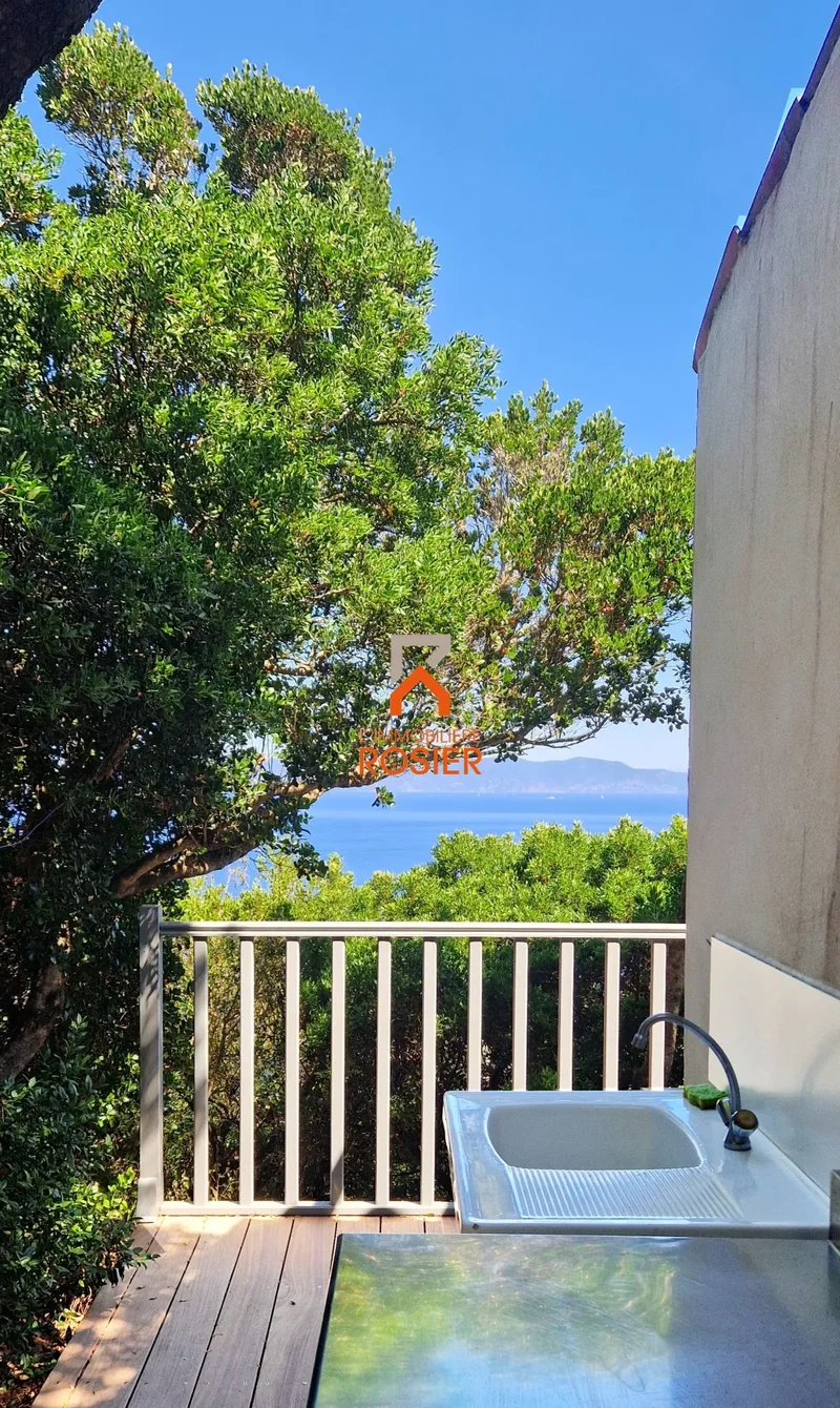 Hyères, Provence-Alpes-Côte d'Azur, France. - Photo 9