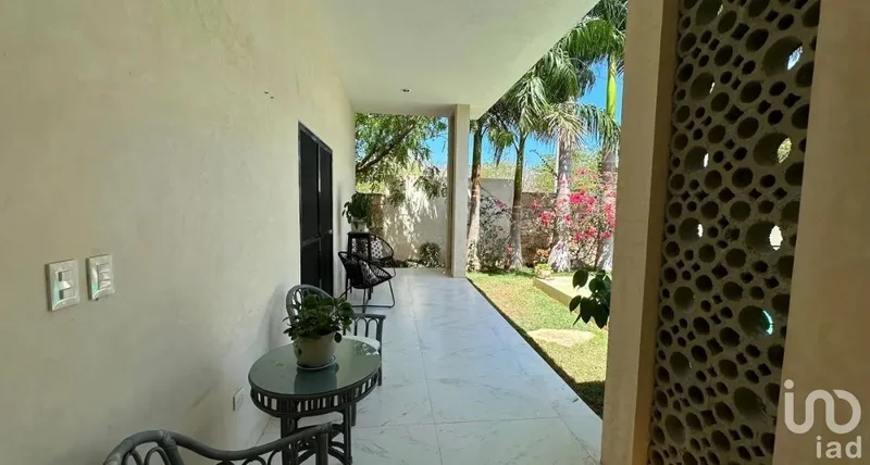 19 324  , Dzibilchaltún , 97305 Mérida, Yucatán, México, La Ceiba, Yucatan, Mexico. - Photo 6