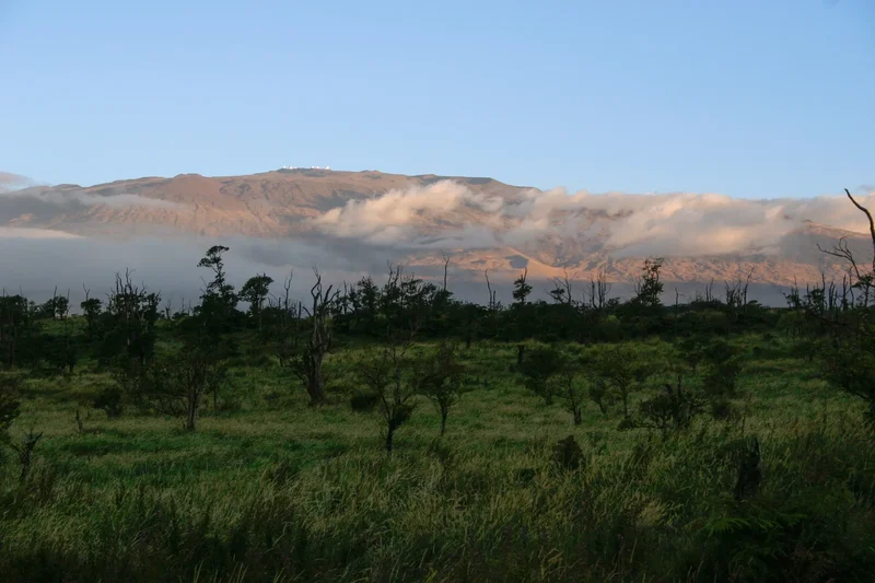 47-5343 W. Waikoekoe Ln., Waimea, Hawaii, United States. - Photo 2