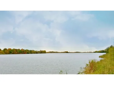 Thumbnail 15