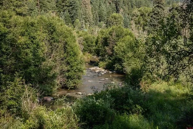 Gallery photo 10