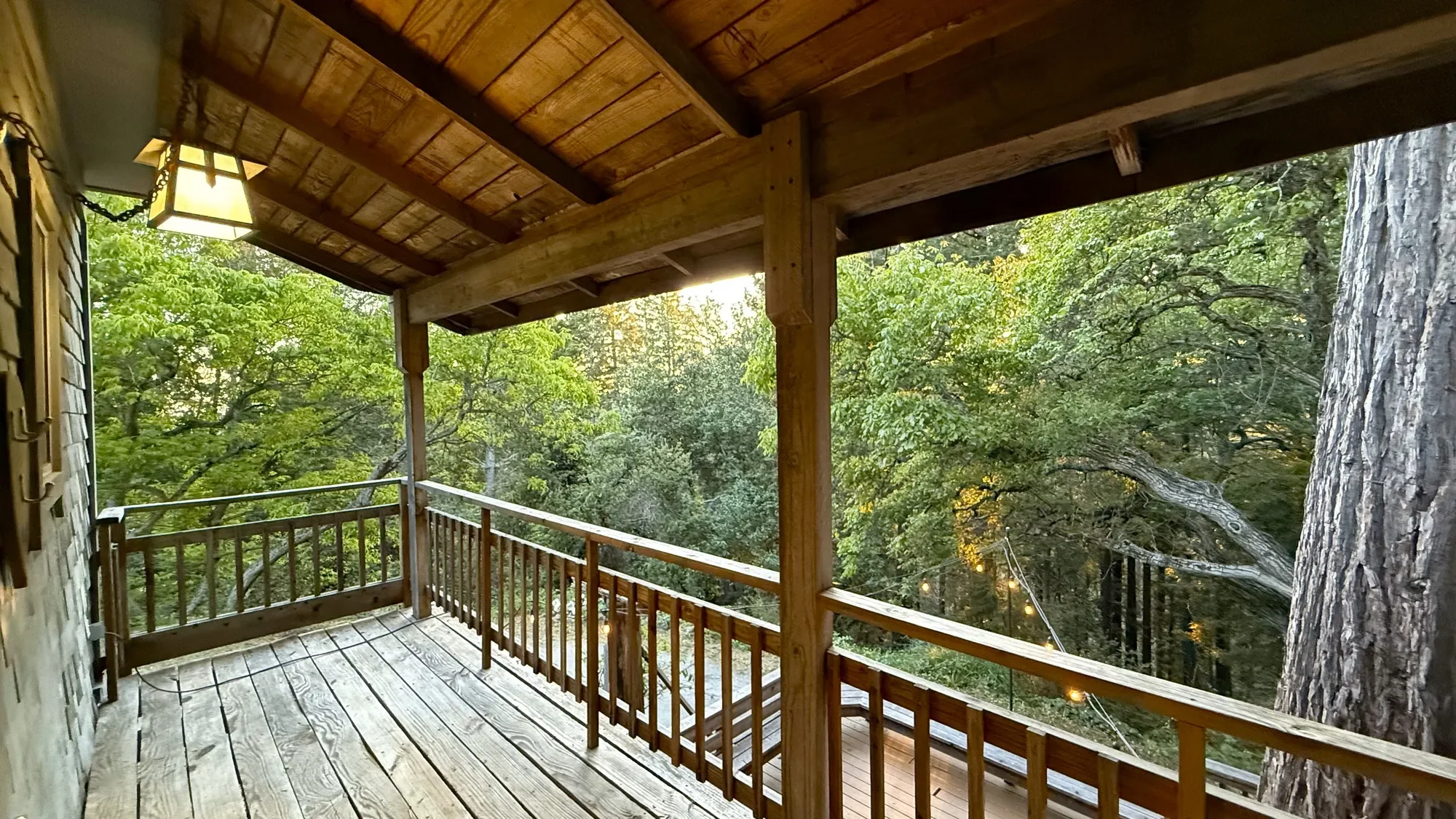 Gallery photo 2