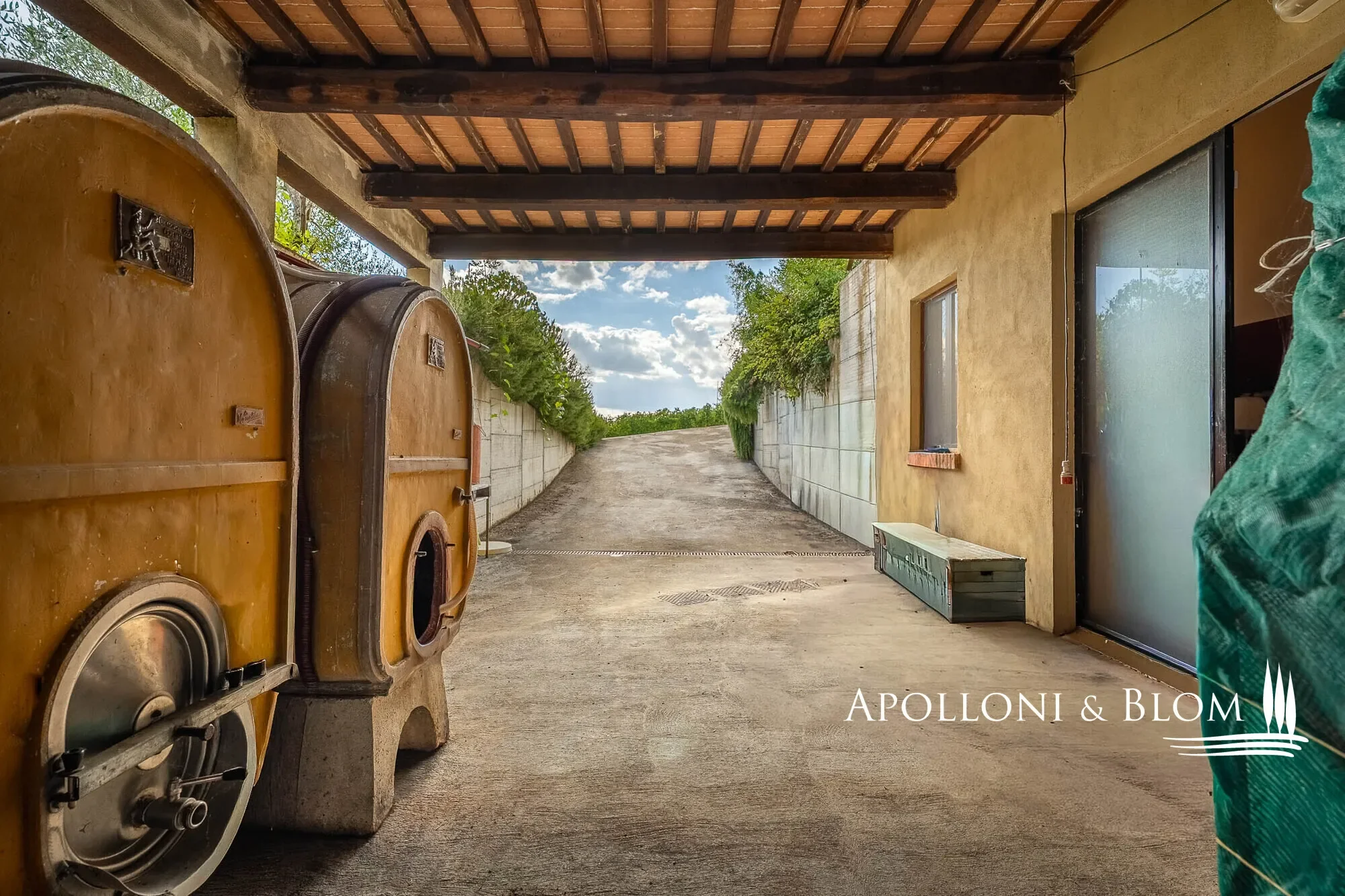 SP 14, Tuscany, Italy. - Photo 35