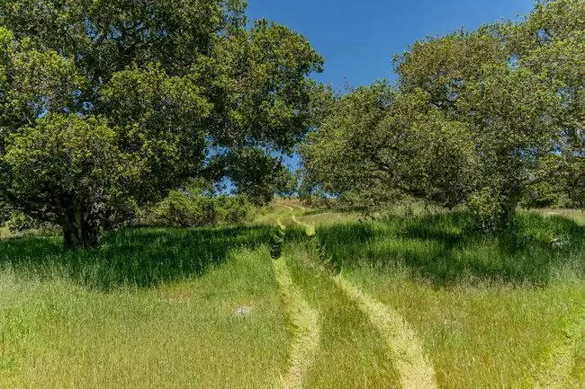 100 Old Stage Rd, San Juan Bautista, California, United States. - Photo 29