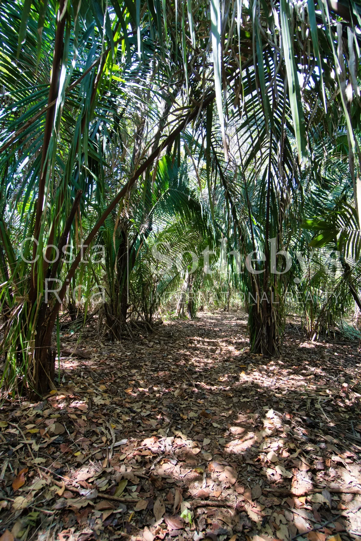 Gallery photo 8