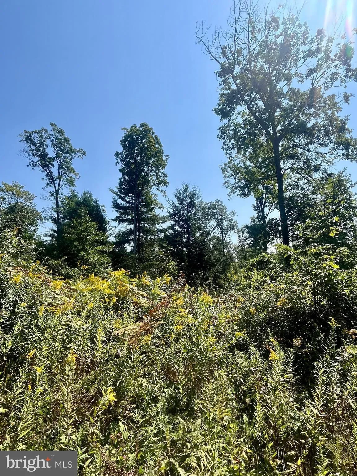 6 BEECH CREEK MOUNTAIN RD ROAD, BEECH CREEK, PA 16822, Monument, Pennsylvania, United States. - Photo 5