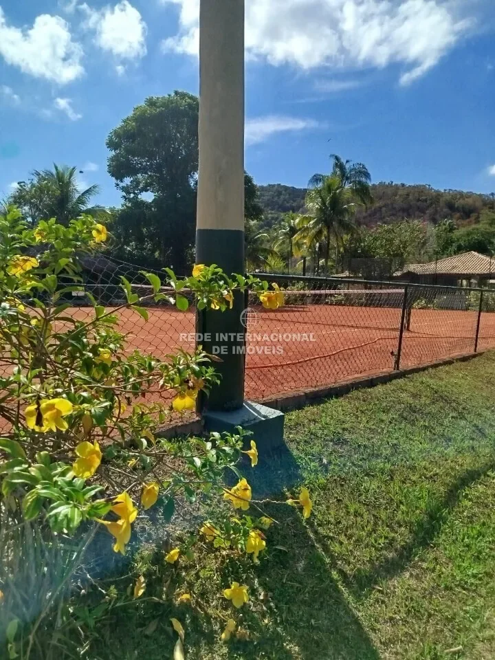 Piratininga, State of Rio de Janeiro, Brazil. - Photo 3