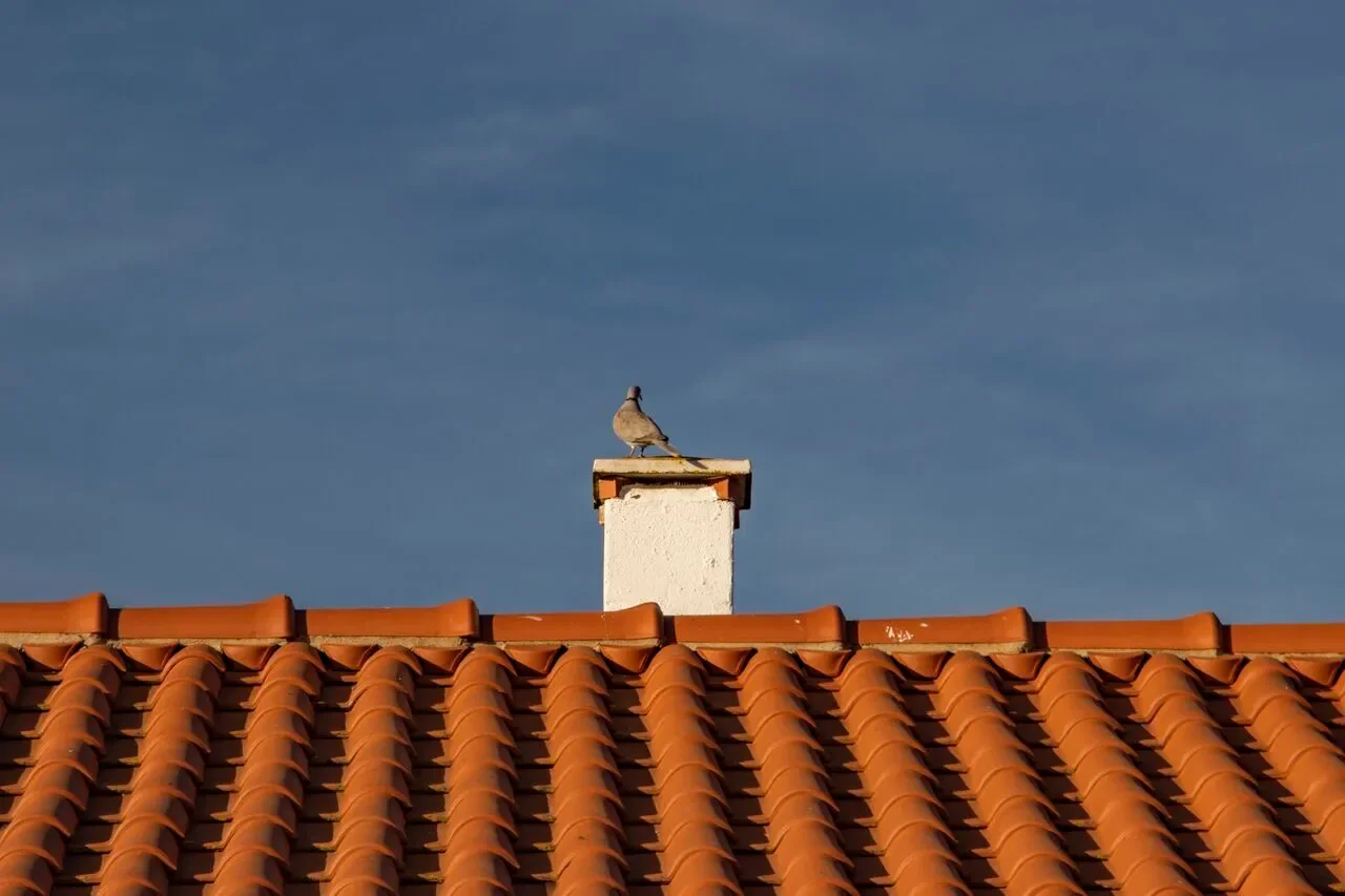 Exterior photo 5