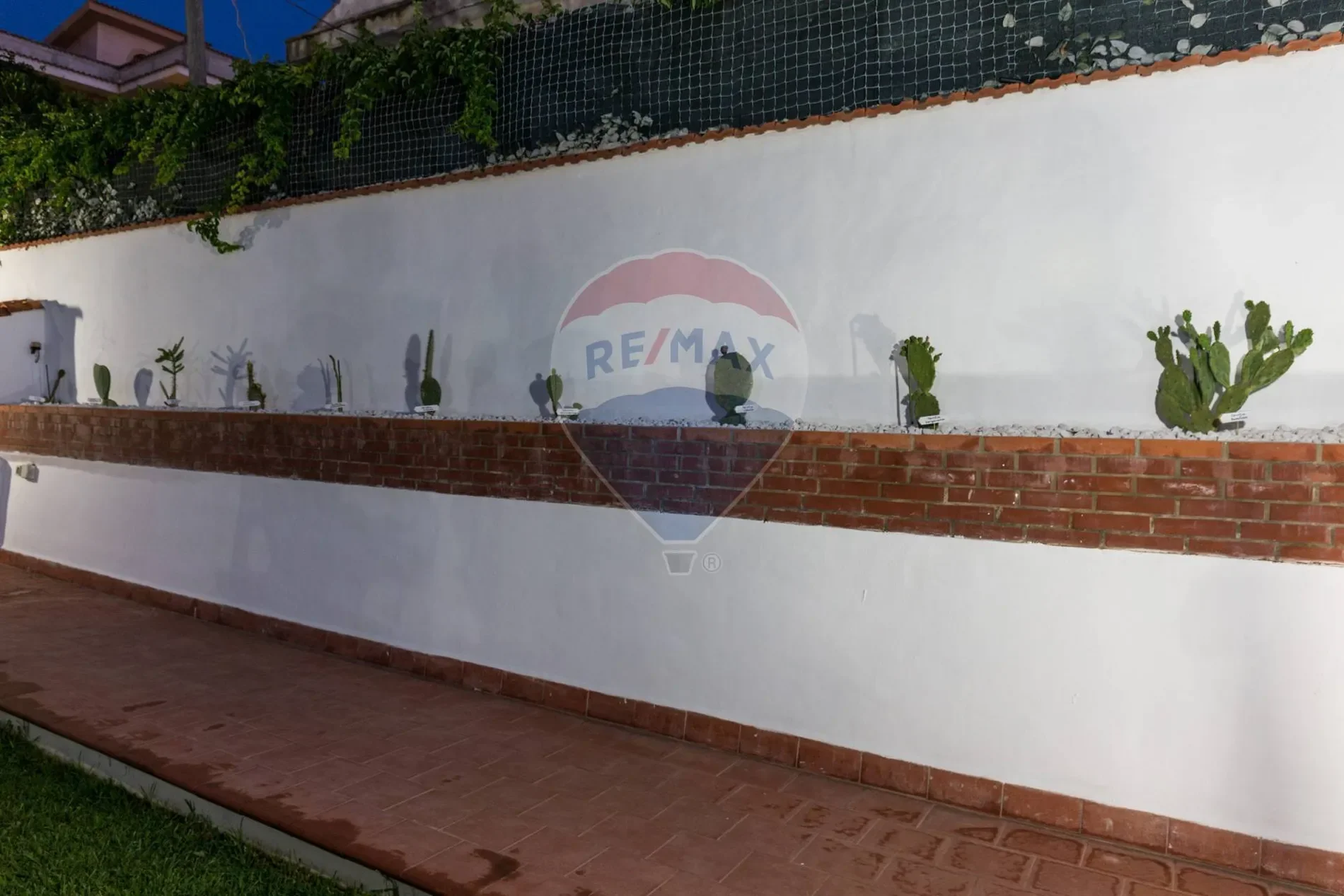 Gallery photo 5