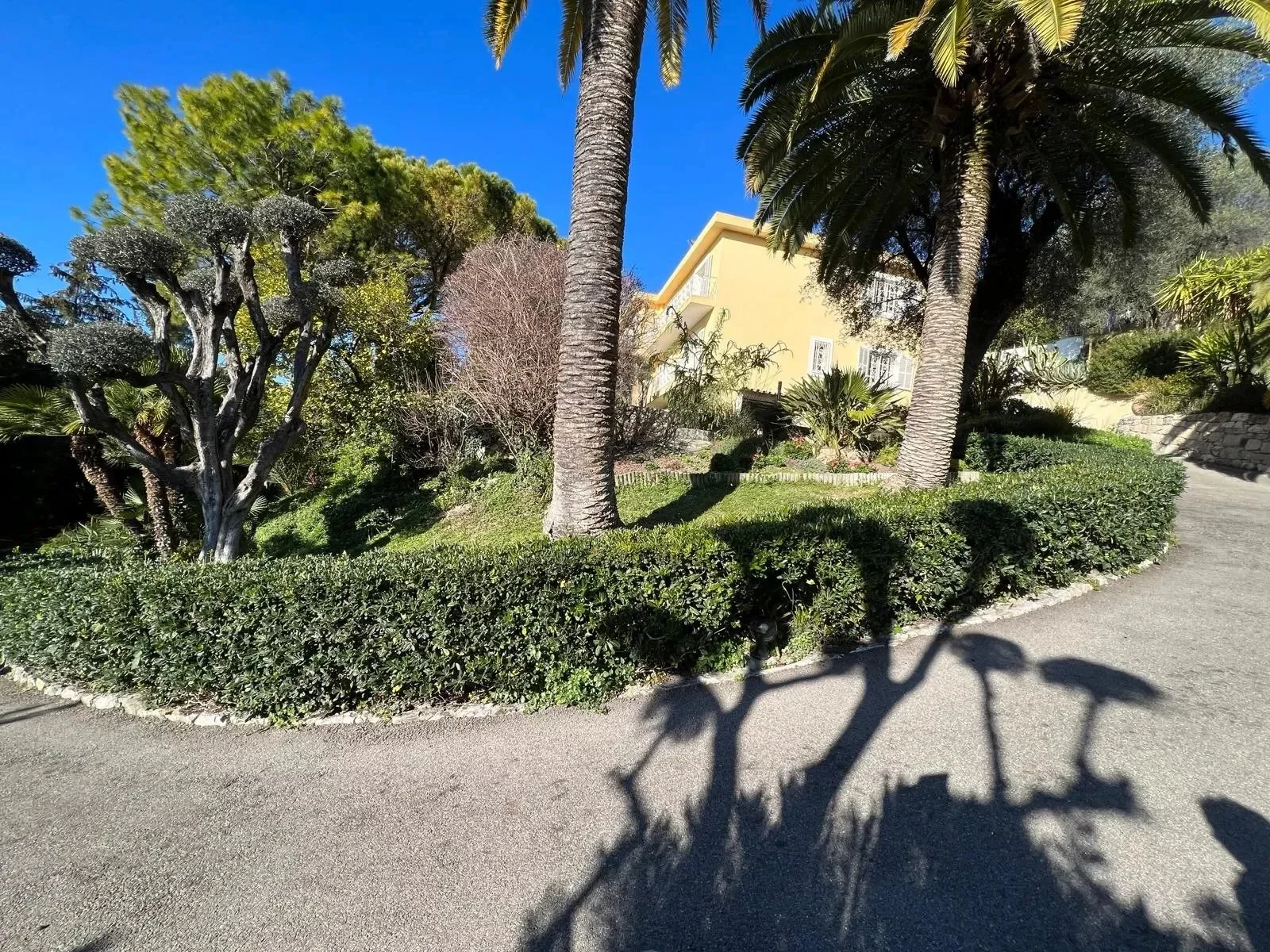 Nice, Provence-Alpes-Côte d'Azur, France. - Photo 18