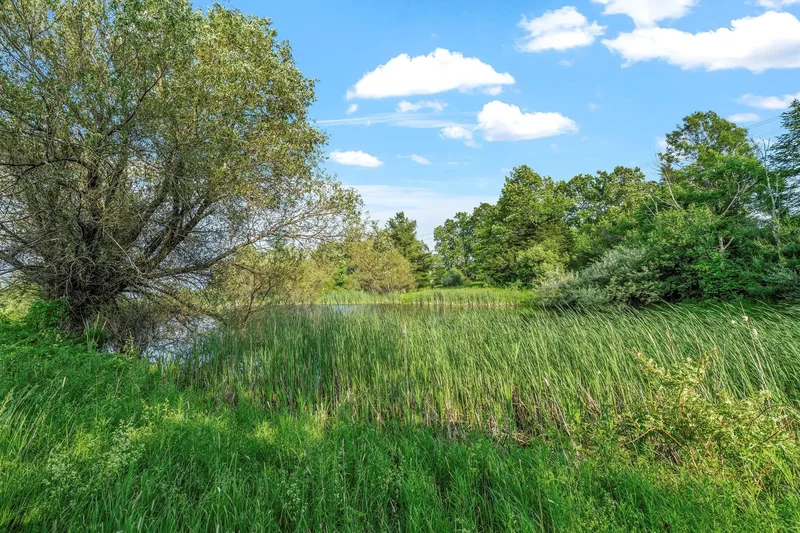 378 County Route 354, Preston Hollow, NY 12469, Preston-Potter Hollow, New York, United States. - Photo 49