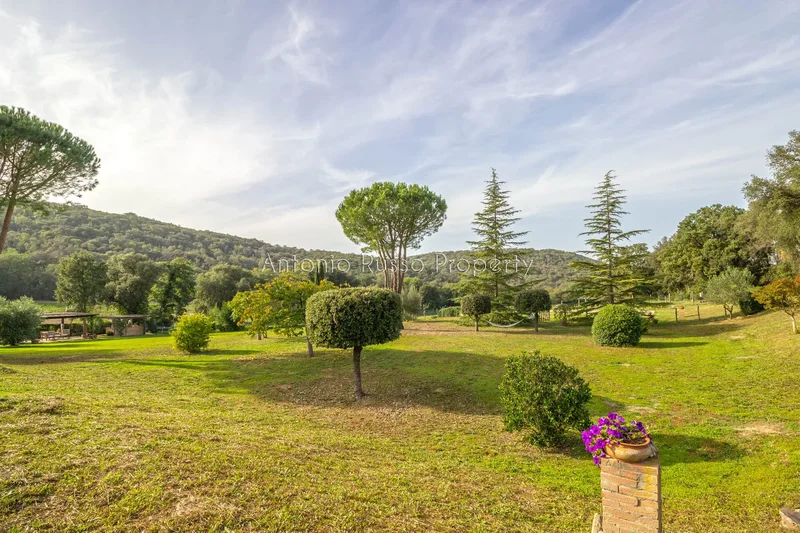 58036 Il Terzo, Province of Grosseto, Italy, Il Terzo, Tuscany, Italy. - Photo 9