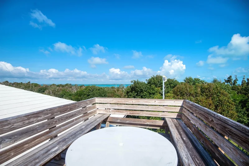 Gone Bananas , Lubbers Quarters, HT, Elbow Cay, The Bahamas. - Photo 4