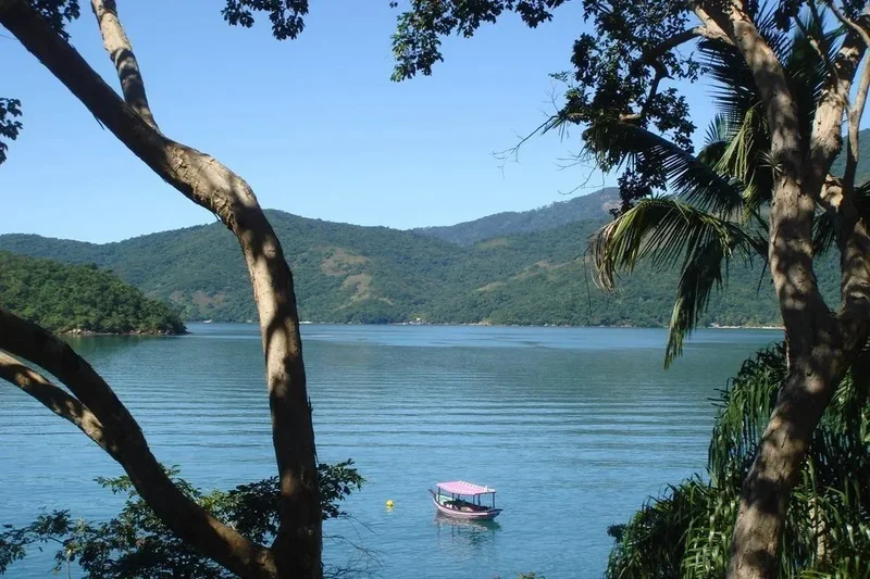 Brazil. - Photo 6