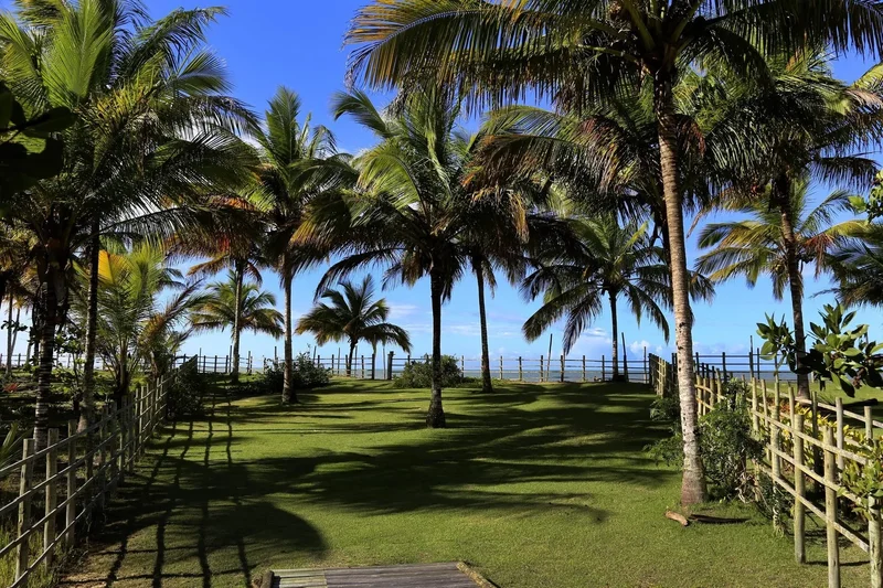 State of Bahia, Brazil. - Photo 8