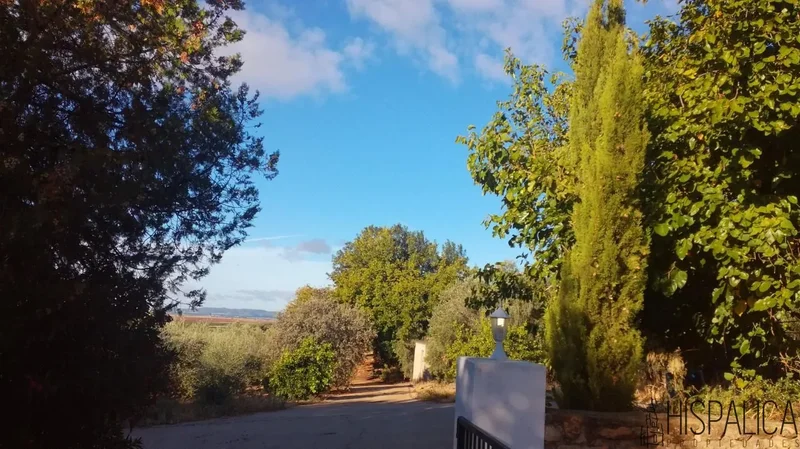 Carretera Peñaflor, 41440, Lora del Río, Sevilla, Lora del Río, Penaflor, Andalusia, Spain. - Photo 48