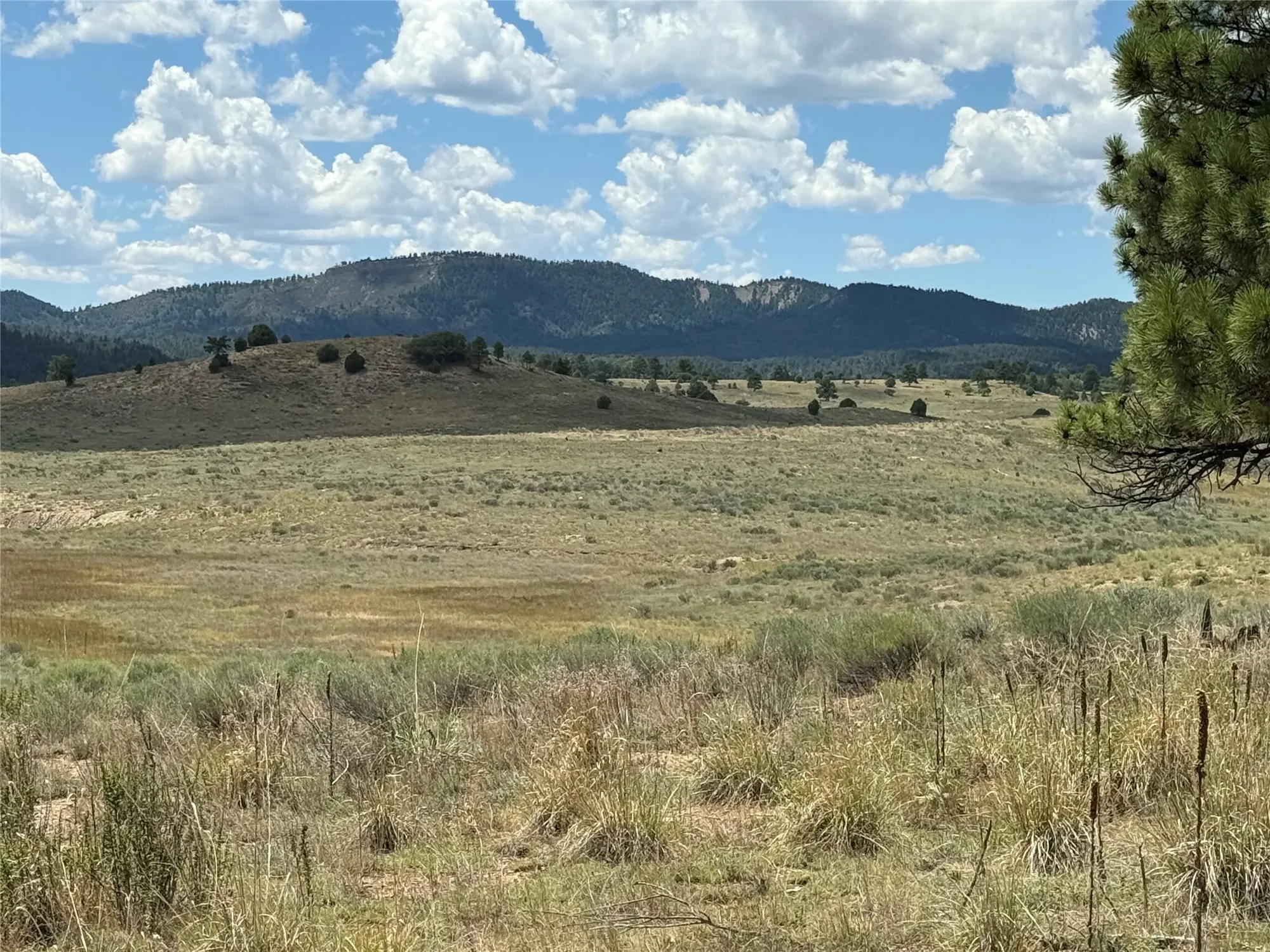 169 Elk Drive, Chama, NM 87520, Chama, New Mexico, United States. - Photo 66